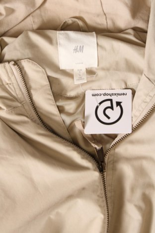 Herrenjacke H&M L.O.G.G., Größe S, Farbe Beige, Preis 18,11 €