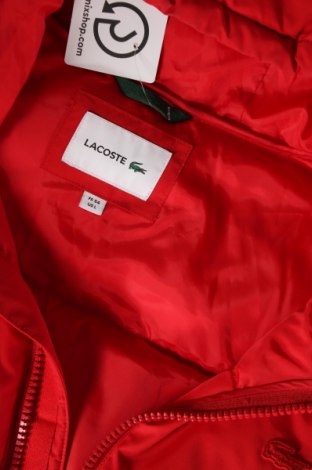Herrenjacke Lacoste, Größe L, Farbe Rot, Preis € 137,47