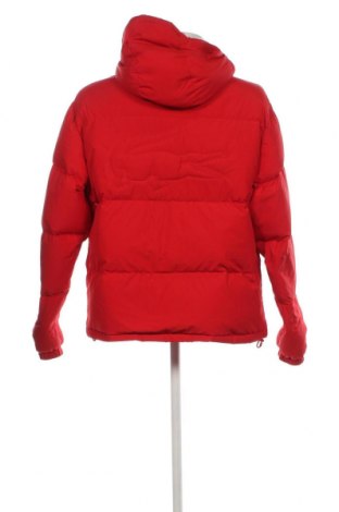 Pánska bunda  Lacoste, Veľkosť L, Farba Červená, Cena  137,47 €