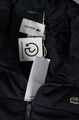 Pánska bunda  Lacoste, Veľkosť M, Farba Modrá, Cena  137,47 €