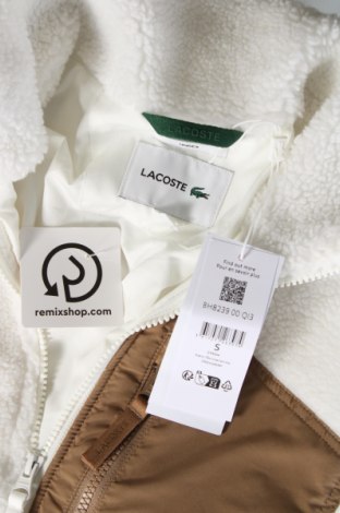 Ανδρικό μπουφάν Lacoste, Μέγεθος S, Χρώμα Λευκό, Τιμή 137,47 €