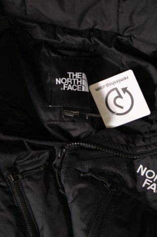 Herrenjacke The North Face, Größe L, Farbe Schwarz, Preis 137,47 €