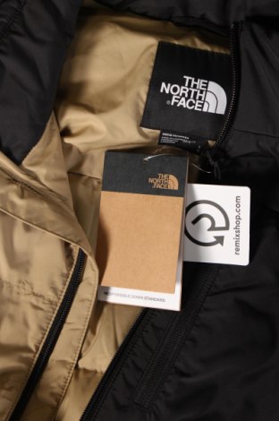 Ανδρικό μπουφάν The North Face, Μέγεθος L, Χρώμα Πολύχρωμο, Τιμή 173,20 €