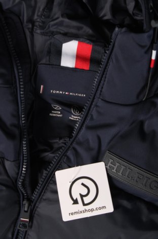 Pánska bunda  Tommy Hilfiger, Veľkosť S, Farba Modrá, Cena  168,87 €