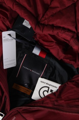 Ανδρικό μπουφάν Tommy Hilfiger, Μέγεθος S, Χρώμα Κόκκινο, Τιμή 168,87 €