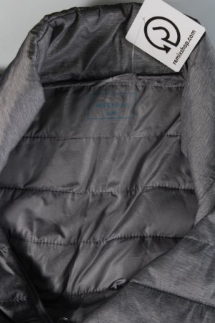 Ανδρικό μπουφάν Watson's, Μέγεθος XL, Χρώμα Γκρί, Τιμή 25,24 €
