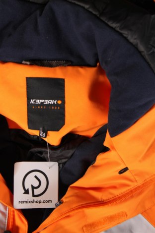Pánska bunda pre zimné športy Icepeak, Veľkosť M, Farba Viacfarebná, Cena  119,46 €