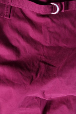 Fustă, Mărime M, Culoare Roz, Preț 33,63 Lei