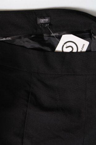 Φούστα Esprit, Μέγεθος L, Χρώμα Μαύρο, Τιμή 11,41 €