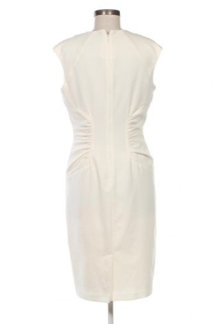 Kleid Adrianna Papell, Größe L, Farbe Weiß, Preis € 29,36