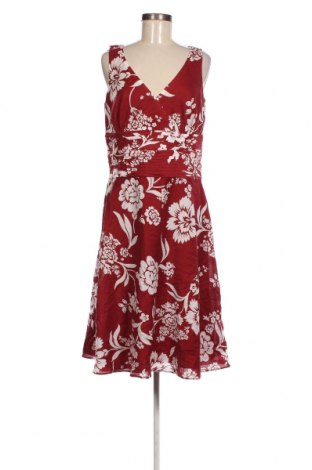 Kleid Ann Taylor, Größe L, Farbe Braun, Preis 57,06 €