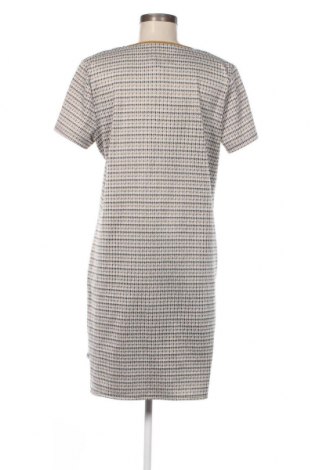 Φόρεμα Cami, Μέγεθος XL, Χρώμα Πολύχρωμο, Τιμή 8,97 €