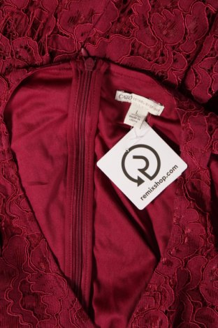 Šaty  Cato, Veľkosť L, Farba Červená, Cena  9,86 €
