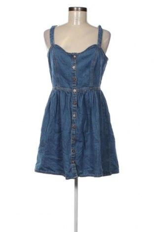 Kleid Denim Co., Größe M, Farbe Blau, Preis 20,18 €