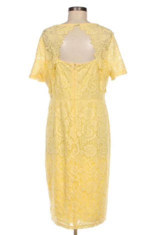 Kleid Dorothy Perkins, Größe XL, Farbe Gelb, Preis € 31,82