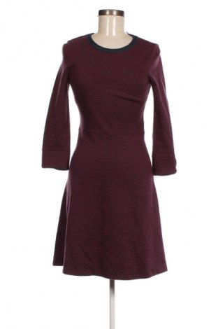 Kleid Esprit, Größe XS, Farbe Mehrfarbig, Preis € 18,37