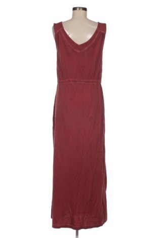 Φόρεμα Etam, Μέγεθος L, Χρώμα Σάπιο μήλο, Τιμή 15,96 €