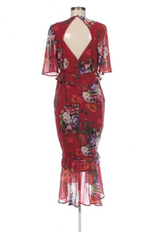 Kleid Hope & Ivy, Größe XL, Farbe Mehrfarbig, Preis 67,67 €
