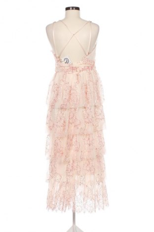 Kleid Koton, Größe XL, Farbe Mehrfarbig, Preis 67,75 €