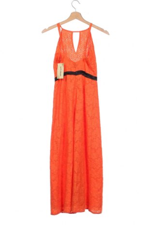 Φόρεμα Lace & Beads, Μέγεθος XS, Χρώμα Πορτοκαλί, Τιμή 19,48 €