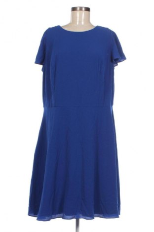 Sukienka London Times, Rozmiar XL, Kolor Niebieski, Cena 153,53 zł