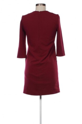 Kleid Mango, Größe XS, Farbe Rot, Preis 11,83 €