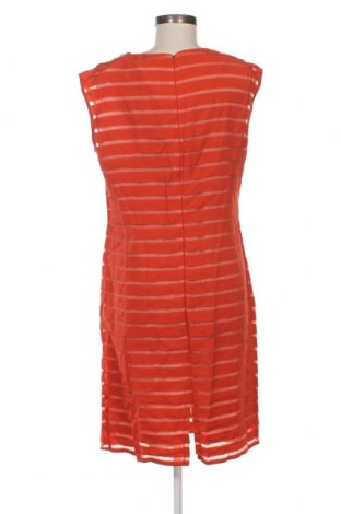 Φόρεμα Mizar, Μέγεθος XL, Χρώμα Πορτοκαλί, Τιμή 11,44 €