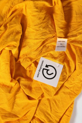 Kleid New York & Company, Größe XS, Farbe Gelb, Preis 17,37 €