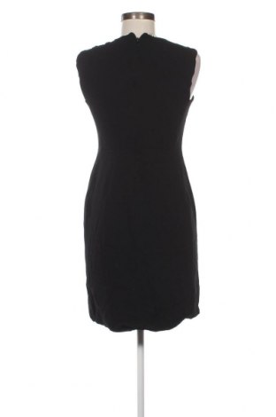 Kleid Pinko, Größe S, Farbe Schwarz, Preis 78,65 €