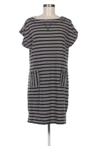 Kleid Talbots, Größe L, Farbe Schwarz, Preis € 10,49