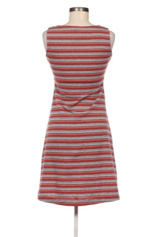 Kleid Tom Tailor, Größe S, Farbe Mehrfarbig, Preis € 15,97