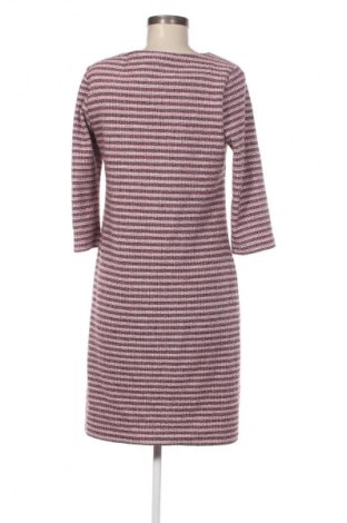 Kleid Tom Tailor, Größe M, Farbe Mehrfarbig, Preis 16,70 €