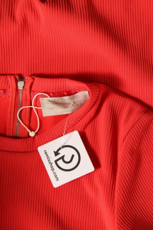 Kleid Zara Trafaluc, Größe M, Farbe Rot, Preis € 16,25