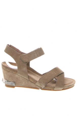 Sandalen Ca'shott, Größe 37, Farbe Grün, Preis 62,78 €