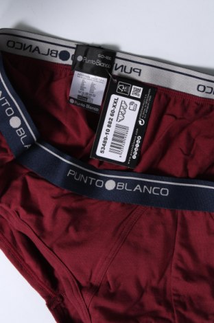Σλιπάκι Punto Blanco, Μέγεθος XXL, Χρώμα Κόκκινο, Τιμή 12,37 €