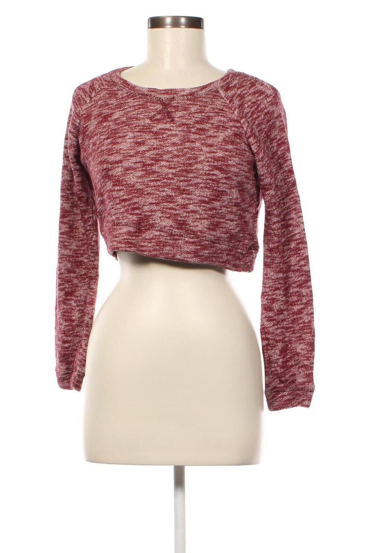 Damen Shirt 36 point 5, Größe S, Farbe Rot, Preis € 5,61