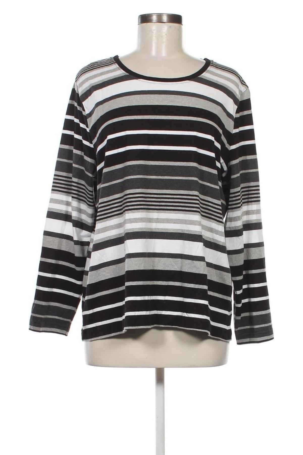 Damen Shirt Collection L, Größe XL, Farbe Mehrfarbig, Preis € 5,70