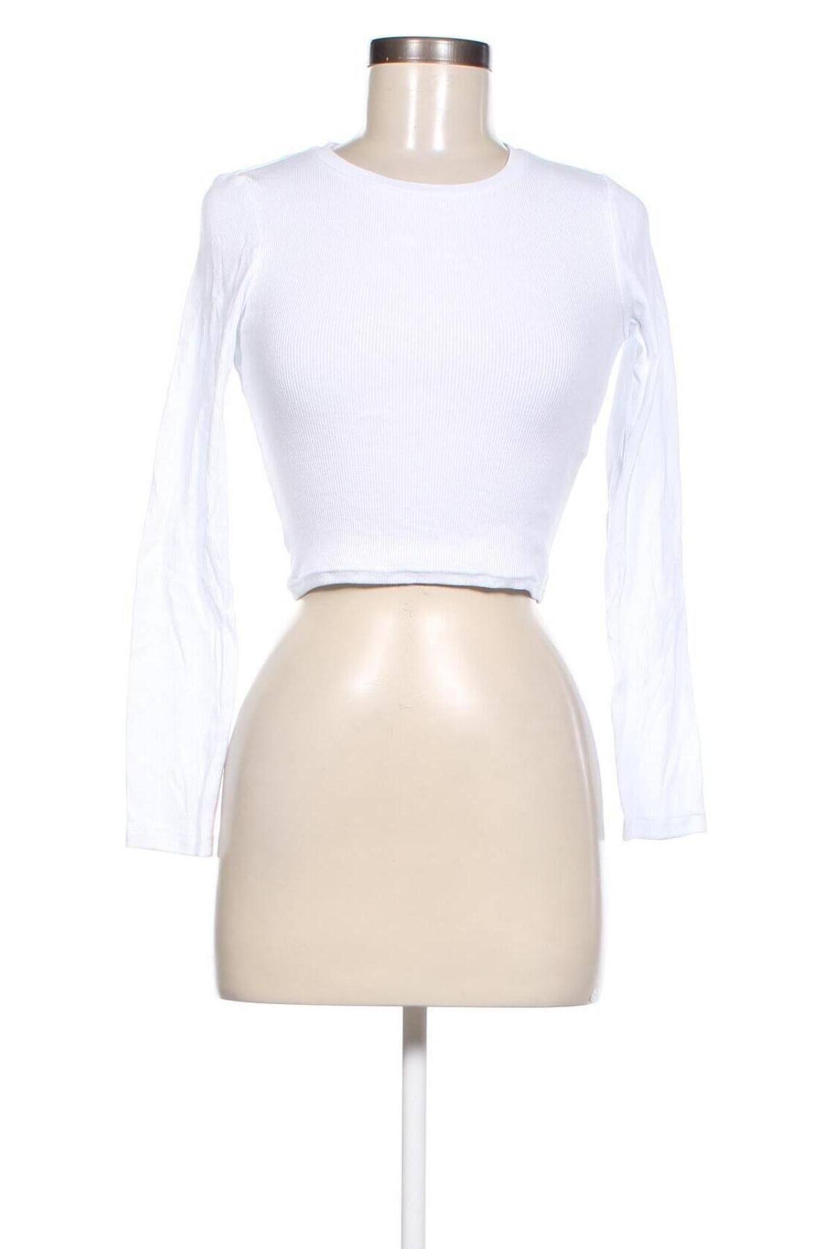 Damen Shirt Even&Odd, Größe S, Farbe Weiß, Preis 5,29 €