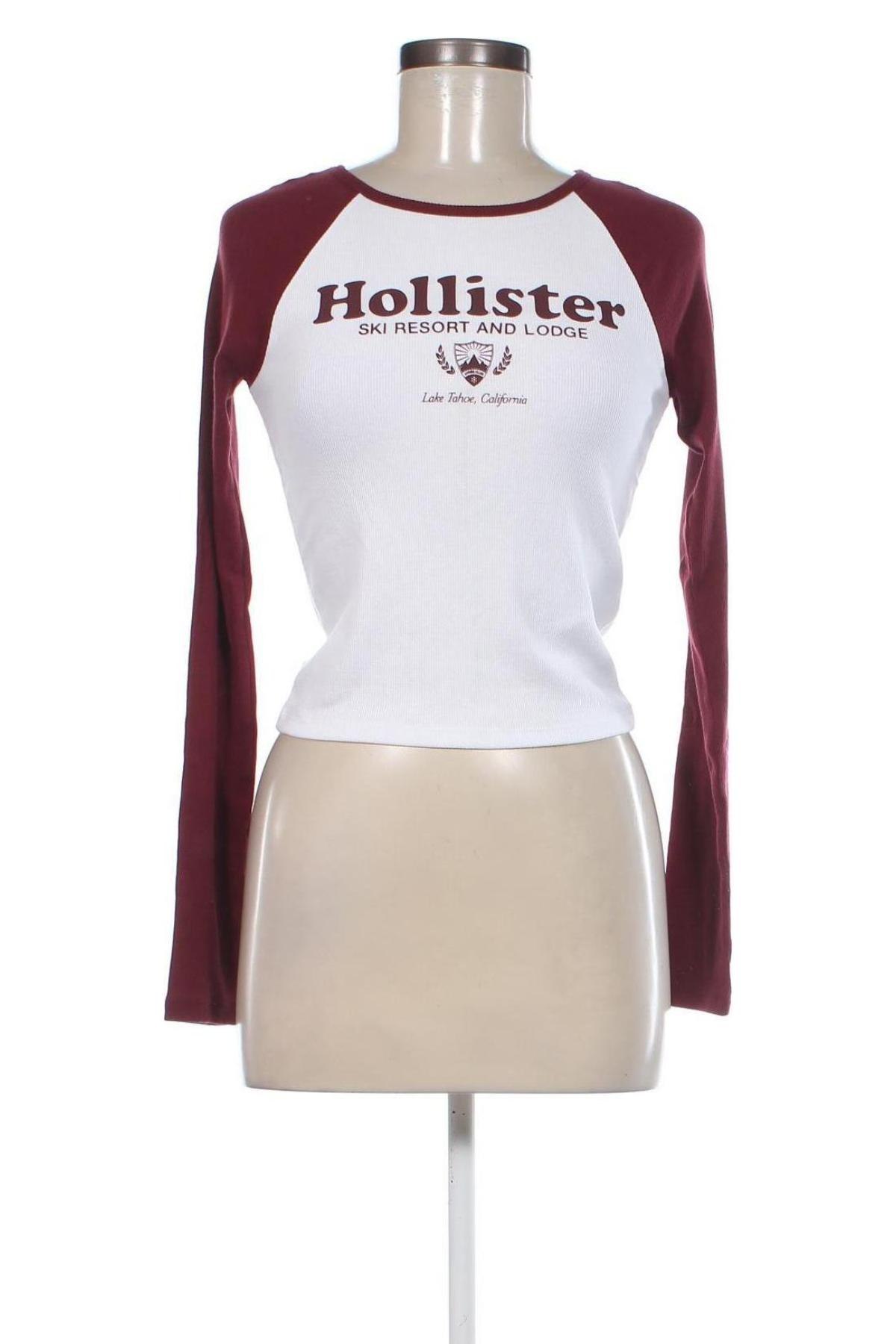 Damen Shirt Hollister, Größe M, Farbe Weiß, Preis € 19,85