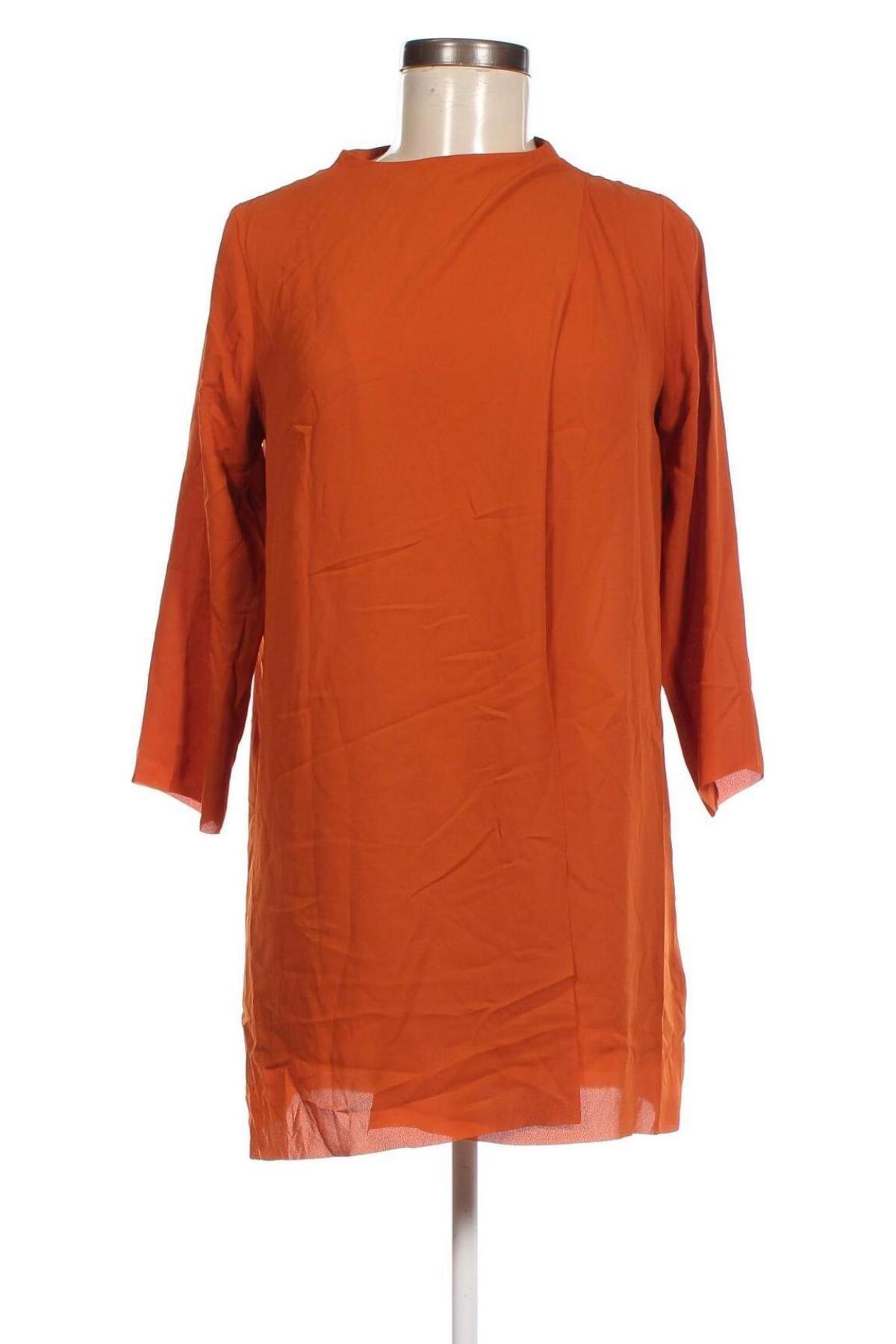 Γυναικεία μπλούζα Monki, Μέγεθος XS, Χρώμα Καφέ, Τιμή 3,78 €