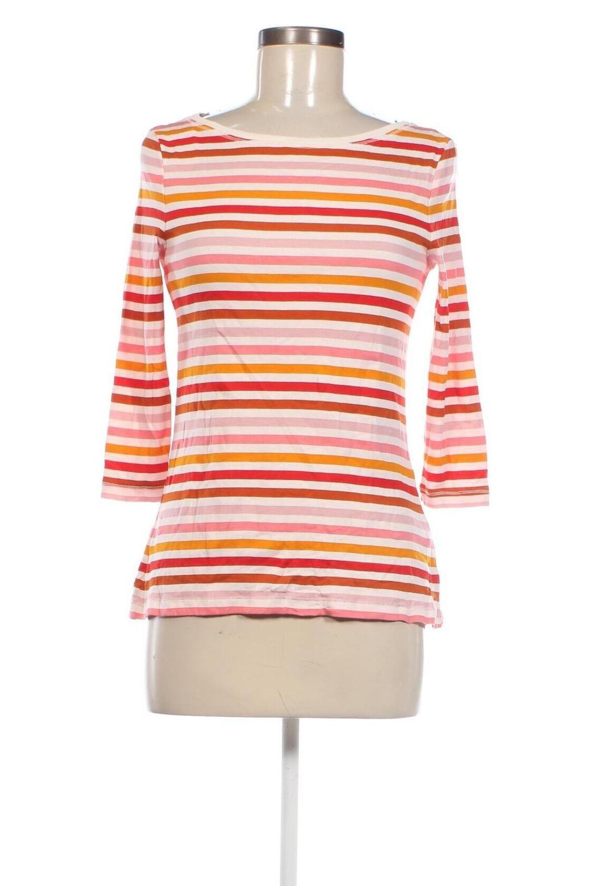 Damen Shirt Montego, Größe M, Farbe Mehrfarbig, Preis 7,27 €