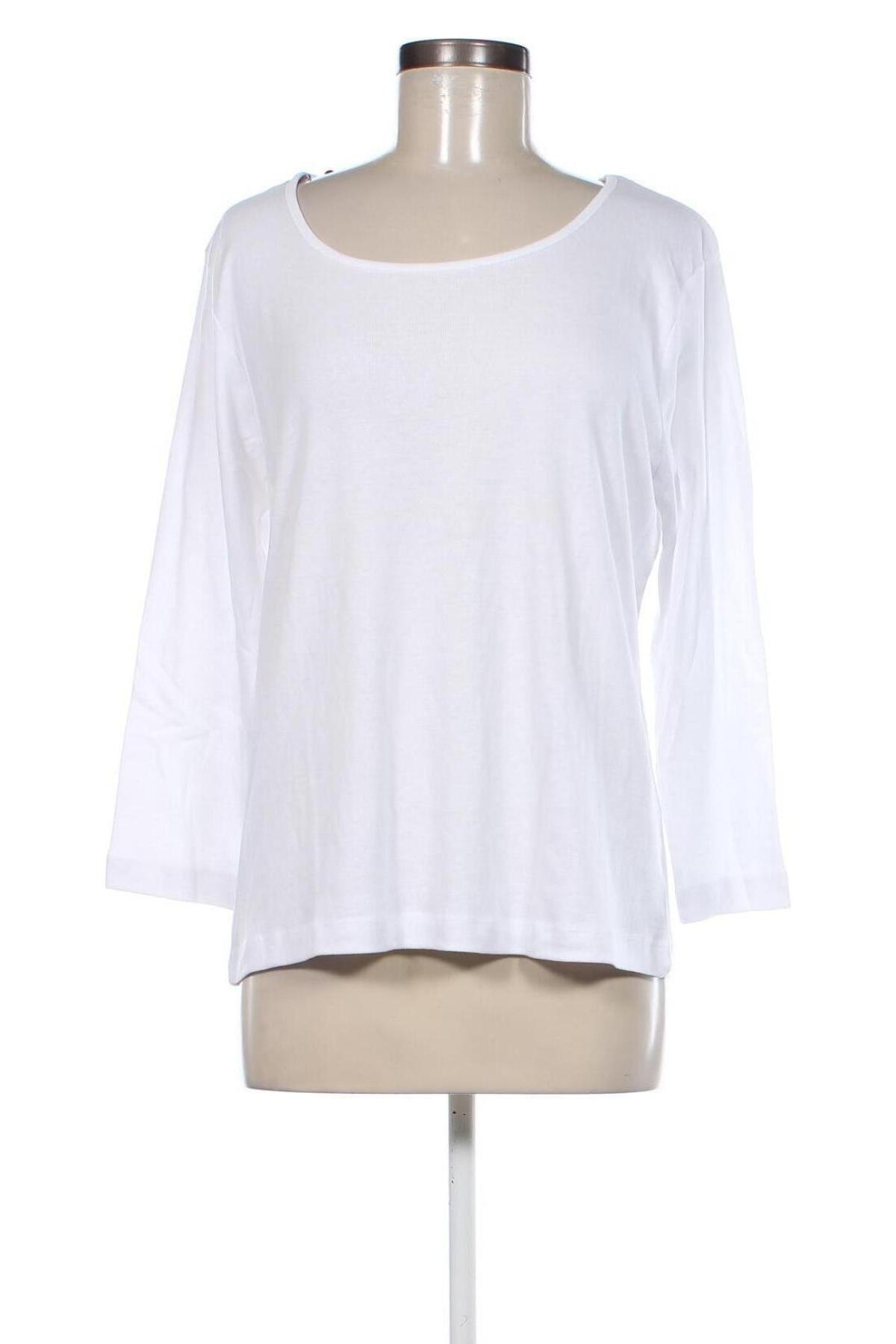 Γυναικεία μπλούζα Oviesse, Μέγεθος XL, Χρώμα Λευκό, Τιμή 8,79 €