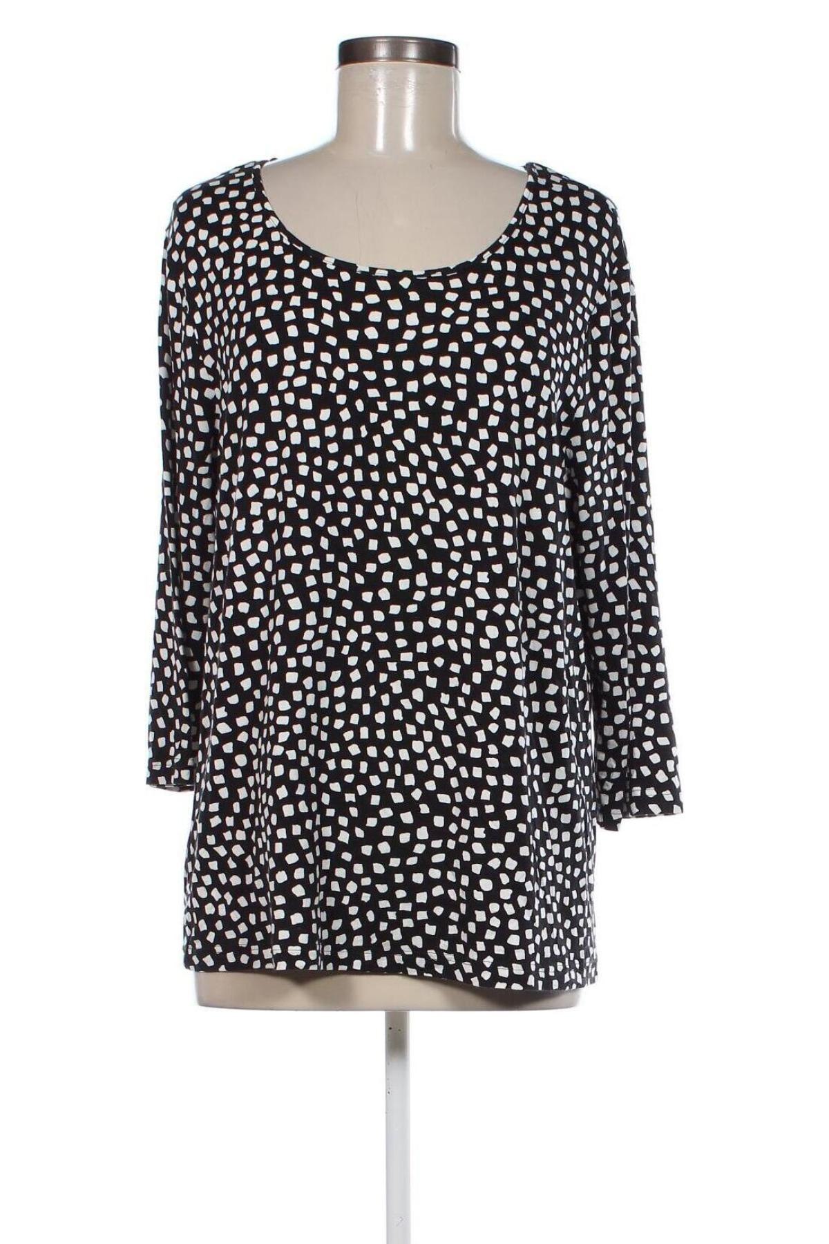 Γυναικεία μπλούζα Peter Hahn, Μέγεθος XL, Χρώμα Πολύχρωμο, Τιμή 14,85 €