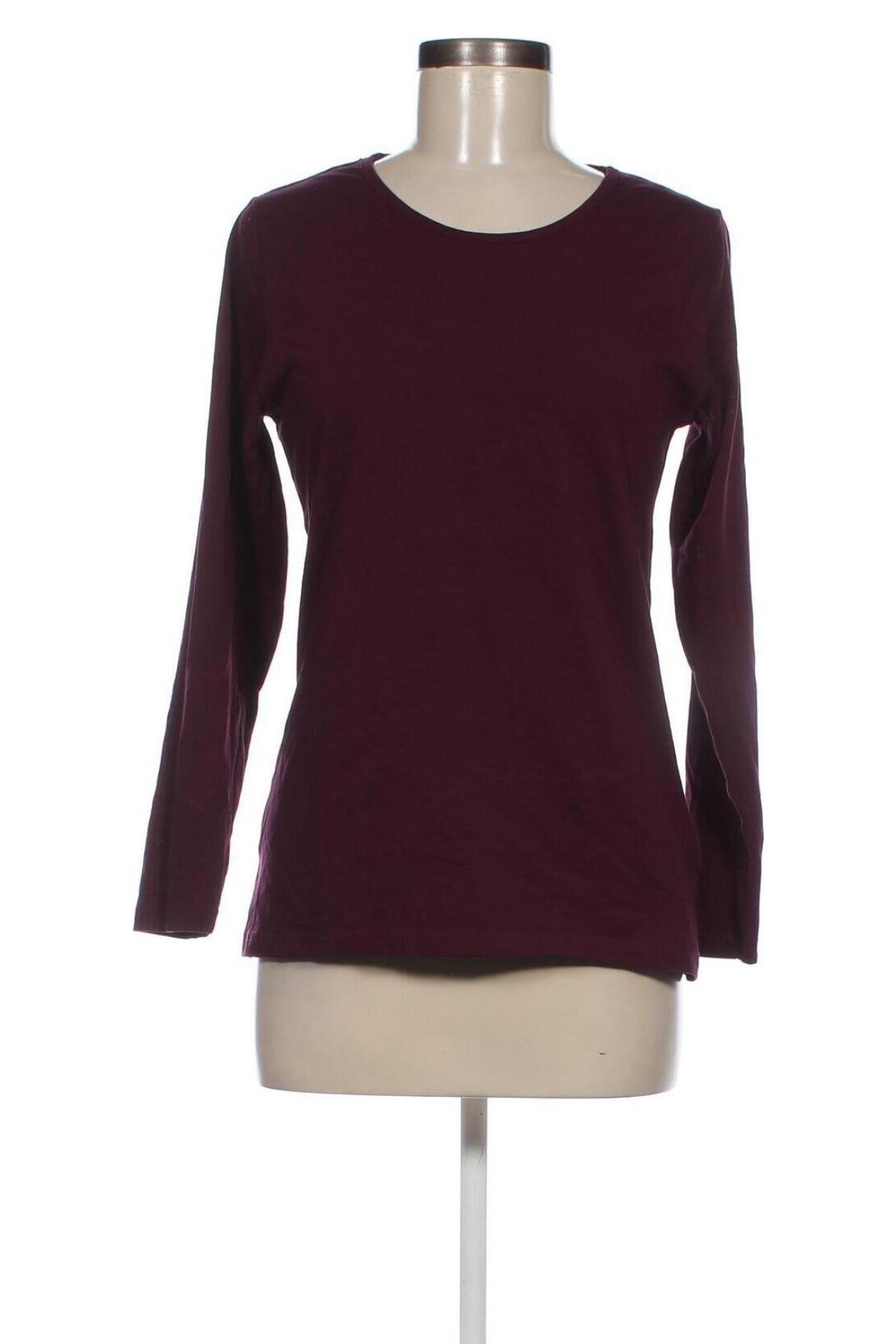 Γυναικεία μπλούζα Sure, Μέγεθος M, Χρώμα Βιολετί, Τιμή 6,46 €
