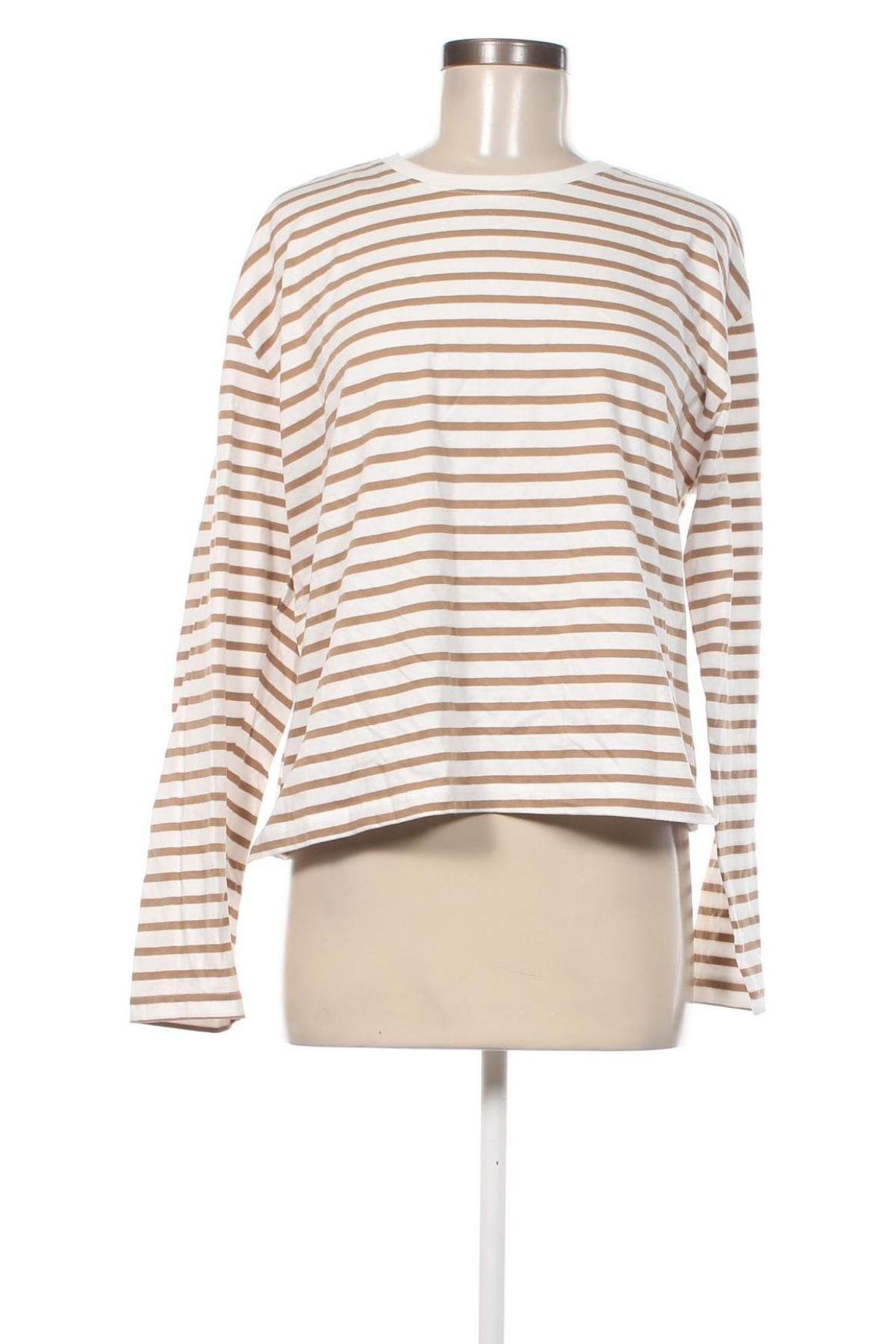 Γυναικεία μπλούζα Zeeman, Μέγεθος L, Χρώμα Πολύχρωμο, Τιμή 5,29 €