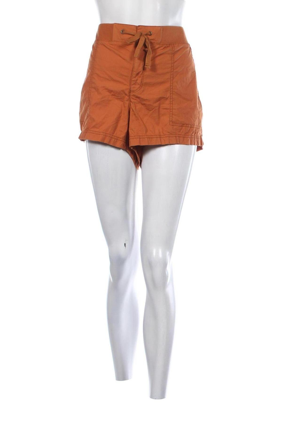 Γυναικείο κοντό παντελόνι A.N.A., Μέγεθος XL, Χρώμα Καφέ, Τιμή 6,35 €