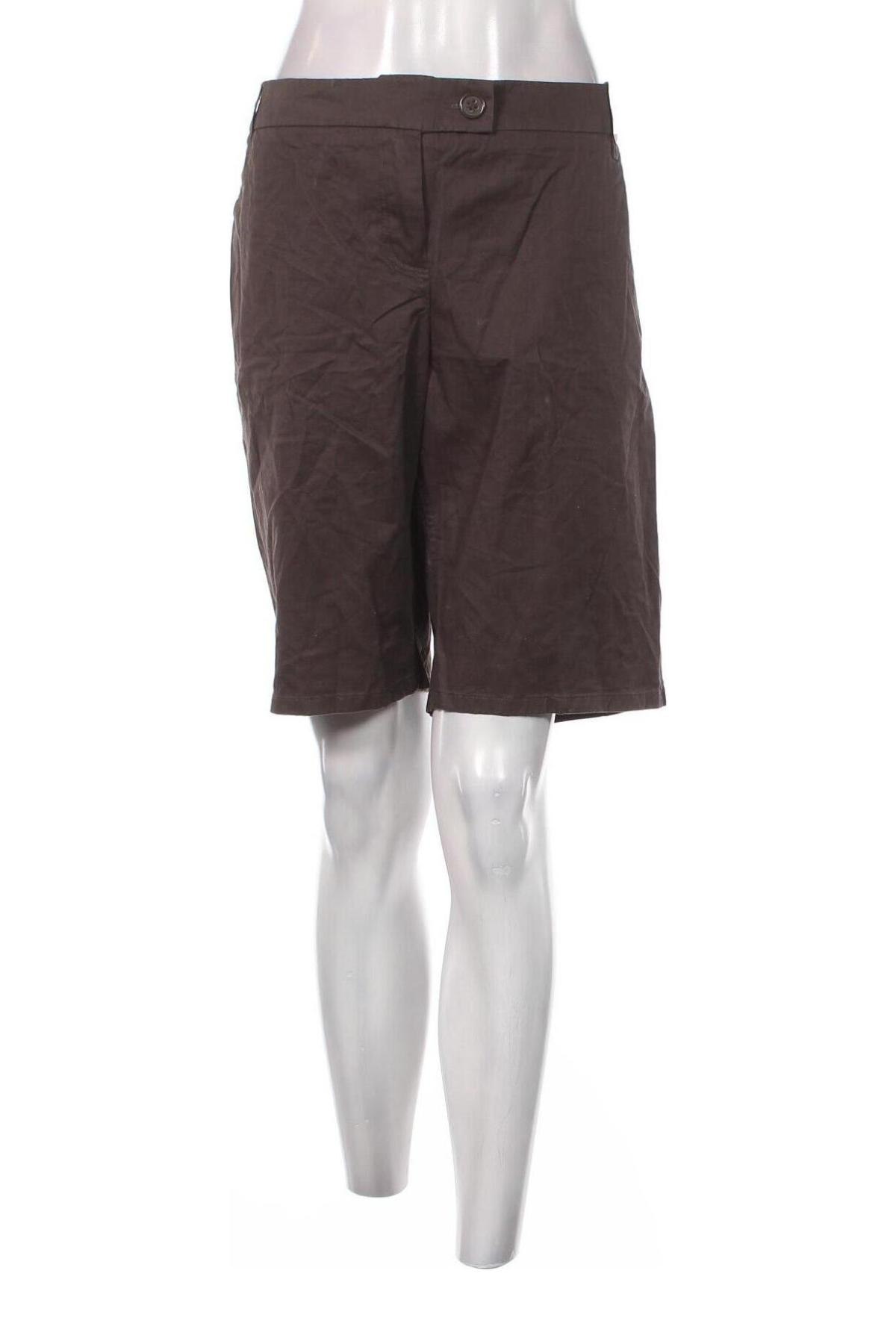 Damen Shorts New York & Company, Größe XXL, Farbe Braun, Preis € 34,83