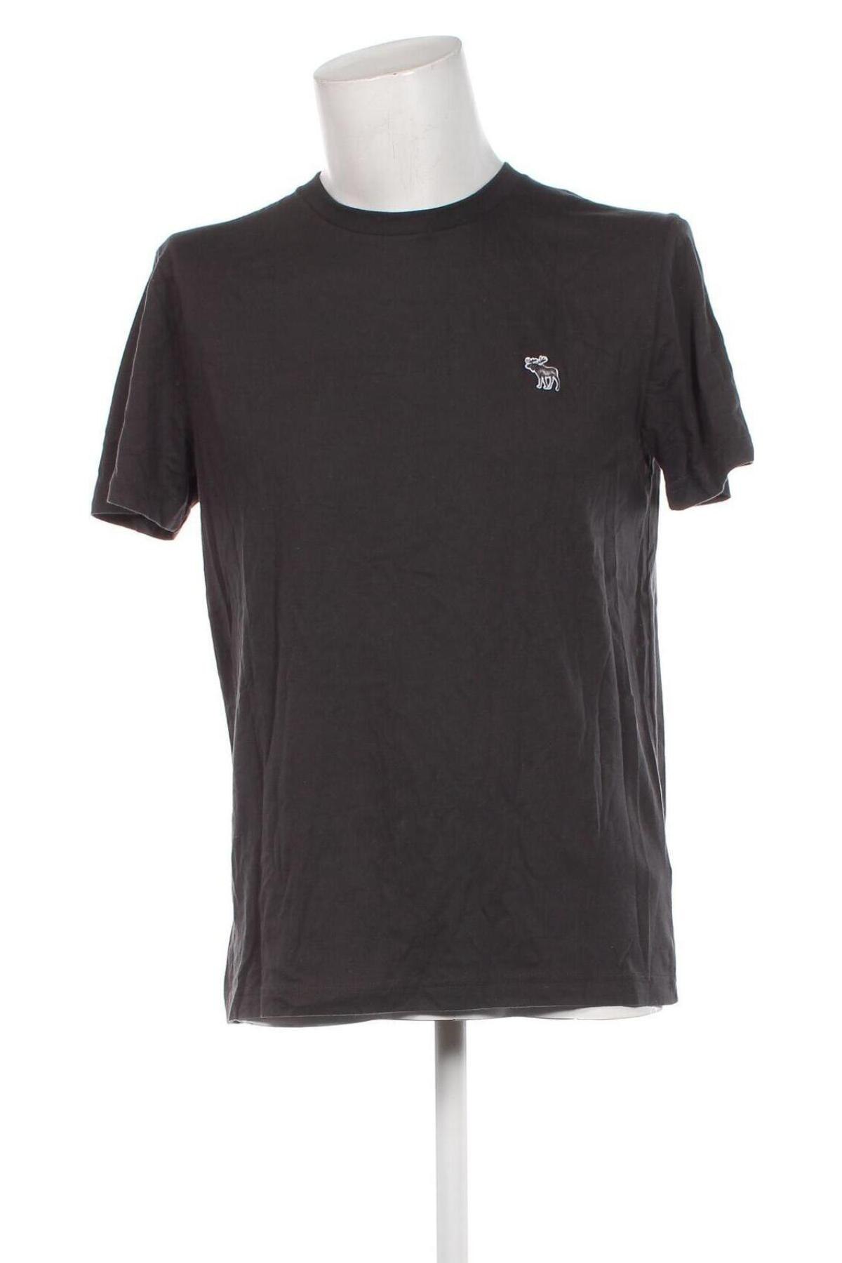 Ανδρικό t-shirt Abercrombie & Fitch, Μέγεθος L, Χρώμα Γκρί, Τιμή 28,87 €