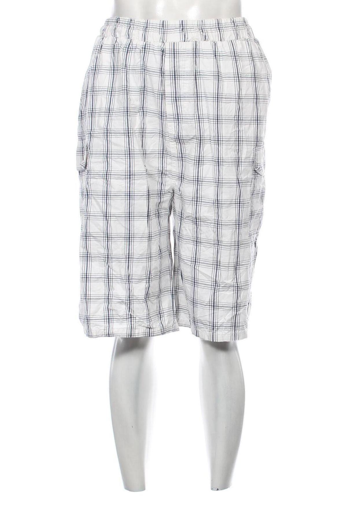 Ανδρικό κοντό παντελόνι, Μέγεθος XXL, Χρώμα Πολύχρωμο, Τιμή 11,60 €