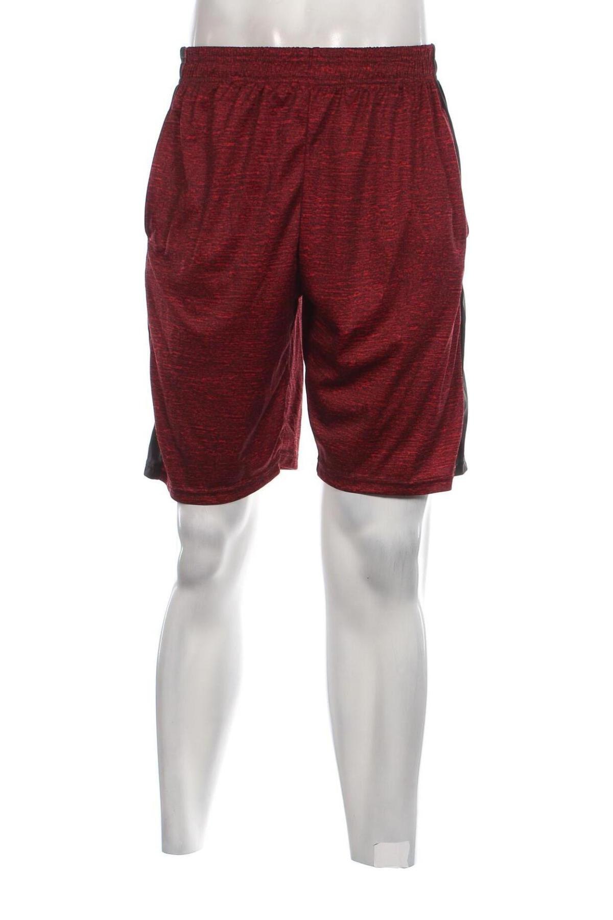 Ανδρικό κοντό παντελόνι, Μέγεθος L, Χρώμα Πολύχρωμο, Τιμή 11,75 €